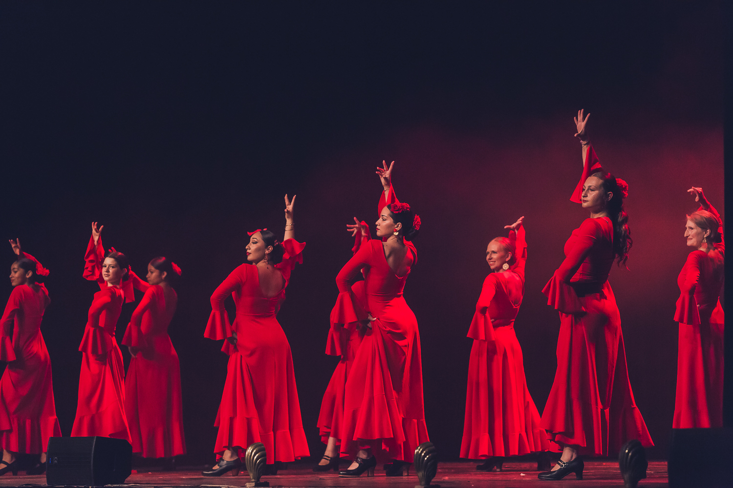 Étoile sur Danse 2026 Gala